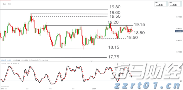 梅州海关供港澳活猪远程检疫监装模式正式启动
