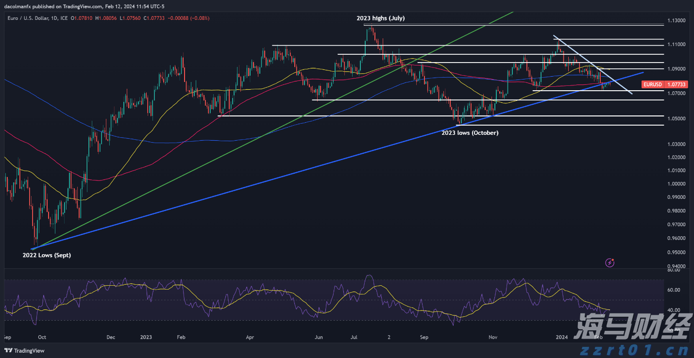 大圩镇：黄皮满枝头致富“黄金果 ”