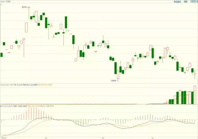 熊海峰教授走进广东塔牌集团股份有限公司开展2025院士专家入百企进百校（梅州行）活动